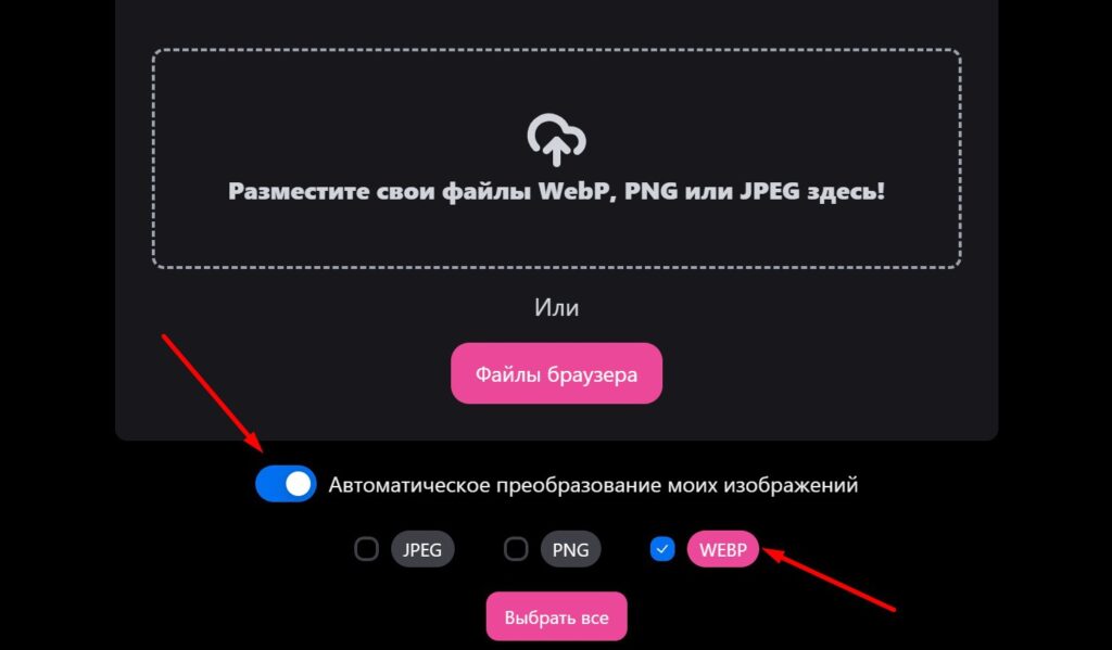 Выбор формата выходных файлов TinyPNG.